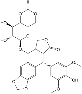 Etoposide (VP-16)