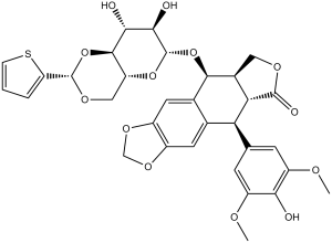 Teniposide (VM-26)