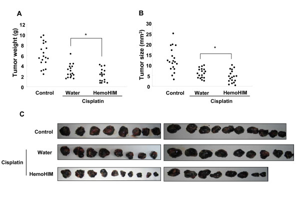 The inhibition of tumor growth was enhanced by HemoHIM administration in melanoma-bearing mice which were injected with cisplatin. BMC Cancer. 2009 Mar 17;9:85.