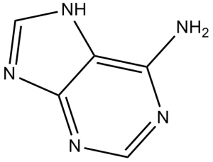 Adenine (6-Aminopurine)