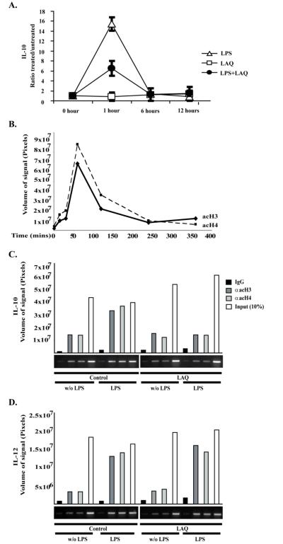 Changes in IL-10 mRNA expression and histone acetylation of the IL-10 gene promoter in PEMs treated with LAQ824. J Immunol. 2011 Apr 1;186(7):3986-96.