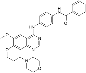 ZM 447439