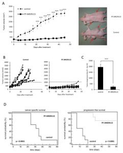 PF-04929113 significantly delays castrate-resistant LNCaP tumor growth and prolongs cancer specific survival. Clin Cancer Res. 2011 Apr 15;17(8):2301-13.