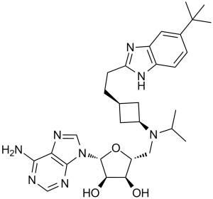 Pinometostat (EPZ-5676)