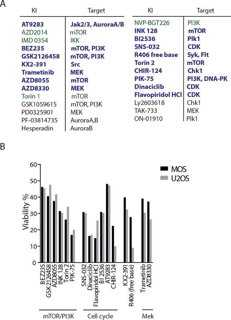 Selection of hits in two human osteosarcoma cell lines. Genes Cancer. 2015 Nov;6(11-12):503-12.