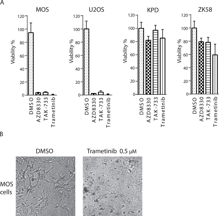 Validation of sensitivity to MEK inhibitors in a 3D culture system. Genes Cancer. 2015 Nov;6(11-12):503-12.