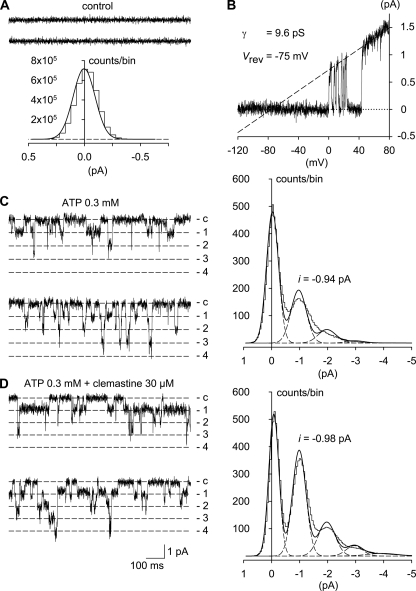 Effects of clemastine on P2X7 receptor-mediated single channel currents in HEKhP2X7 cells. J Biol Chem. 2011 Apr 1; 286(13): 11067–11081.