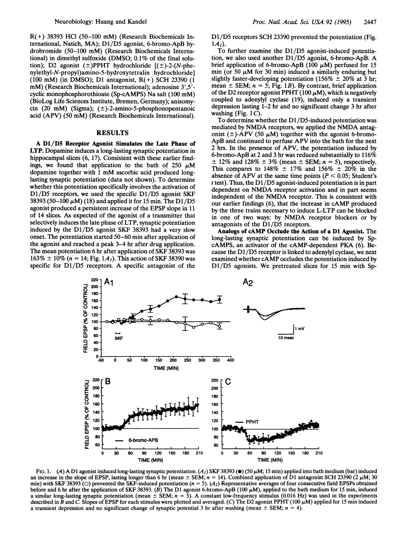 Proc Natl Acad Sci U S A. 1995 Mar 28; 92(7): 2446–2450.