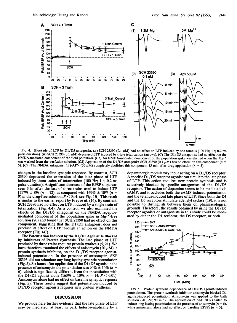 Proc Natl Acad Sci U S A. 1995 Mar 28; 92(7): 2446–2450.