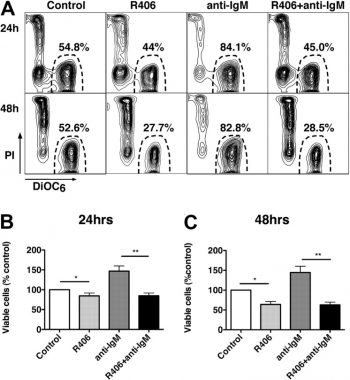 The Syk inhibitor R406 induces CLL cell apoptosis and abrogates BCR-derived survival signals. Blood. 2009 Jul 30; 114(5): 1029–1037.