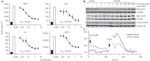 CGI1746 blocks FcγR-induced signaling and inflammatory cytokine production in murine macrophages. Nat Chem Biol. 2011 Jan;7(1):41-50.