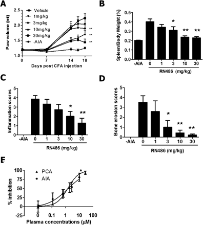 Anti-inflammatory and disease-modifying effects of RN486 in the rat AIA model. J Pharmacol Exp Ther. 2012 Apr;341(1):90-103.