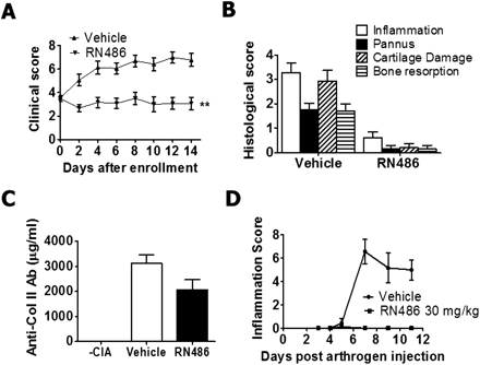 Inhibitory effect of RN486 on the effector phase of immune arthritis in mice. J Pharmacol Exp Ther. 2012 Apr;341(1):90-103.