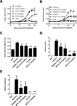 Additive inhibitory effects of RN486 and MTX on inflammation and bone erosions in the rat AIA model. J Pharmacol Exp Ther. 2012 Apr;341(1):90-103.