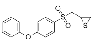 SB-3CT