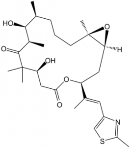 Epothilone B (EPO 906; Patupilone)