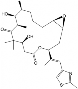 Epothilone A (Epo A)