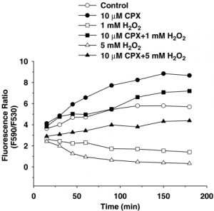 CPX prevents H2O2-stimulated Δψm depolarization in cells. Br J Pharmacol. 2005 Jun;145(4):469-76.