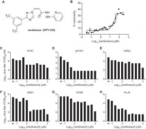 Verdinexor, a novel SINE, is efficacious against influenza A and B viruses. J Virol. 2014 Sep 1;88(17):10228-43.