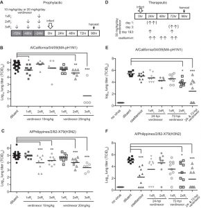 Verdinexor reduces lung influenza A virus burdens. The efficacy of in vivo prophylactic (A to C) and therapeutic (D to F) verdinexor treatment was evaluated. J Virol. 2014 Sep 1;88(17):10228-43.