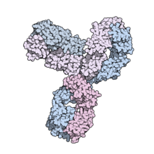 ATEZOLIZUMAB