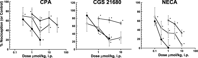 Effects of ADO receptor agonists to attenuate thermal hyperalgesia (filled circles, n=6 per dose group), locomotor activity (open squares, n=6 per dose group) and rotorod performance. Pain. 2002 Mar;96(1-2):107-18.