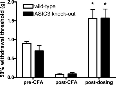 Evaluation of 10b (30 mg/kg) on mechanical hypersensitivity in wild-type and ASIC-3 knockout mice in the complete Freund’s adjuvant (CFA) model of inflammatory pain 60 min postdosing. ACS Chem Neurosci. 2010 Jan 20;1(1):19-24.