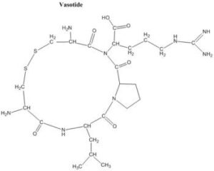 Vasotide