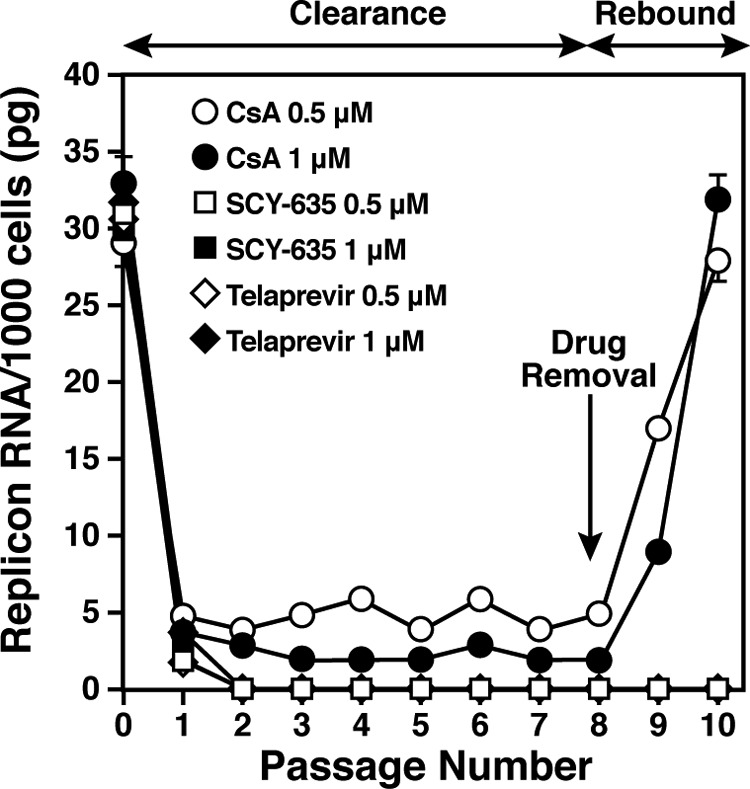 Huh7-Con1 cells were passaged eight consecutive times without G418 in the presence or absence of two concentrations of CsA, SCY-635, or telaprevir (0.5 and 1 μM). Antimicrob Agents Chemother. 2012 Jul;56(7):3888-97.