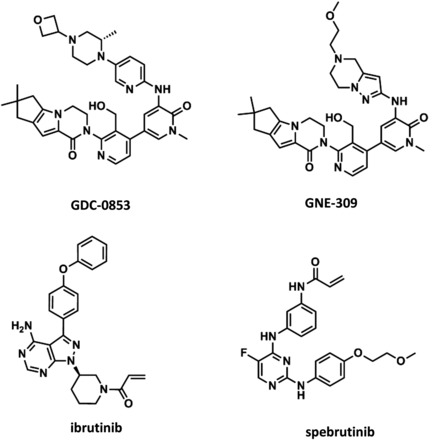 Molecular structures of BTK inhibitors GDC-0853, GNE-309, ibrutinib, and spebrutinib. J Pharmacol Exp Ther. 2017 Jan;360(1):226-238.