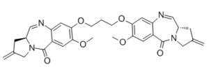 SJG-136 (NSC-694501)