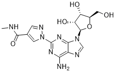 Regadenoson (CVT-3146)