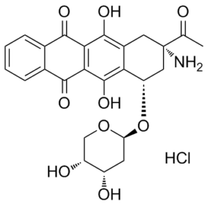 Amrubicin HCl (Calsed)