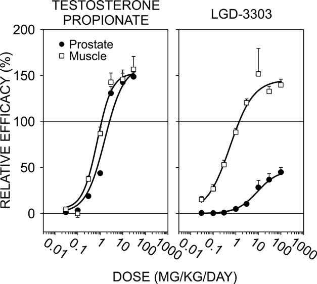 In ORDX male rats, testosterone increased levator ani muscle (LA) weight at doses that have equivalent effects on ventral prostate (VP) weight, indicating a lack of tissue selectivity. J Bone Miner Res. 2009 Feb;24(2):231-40.