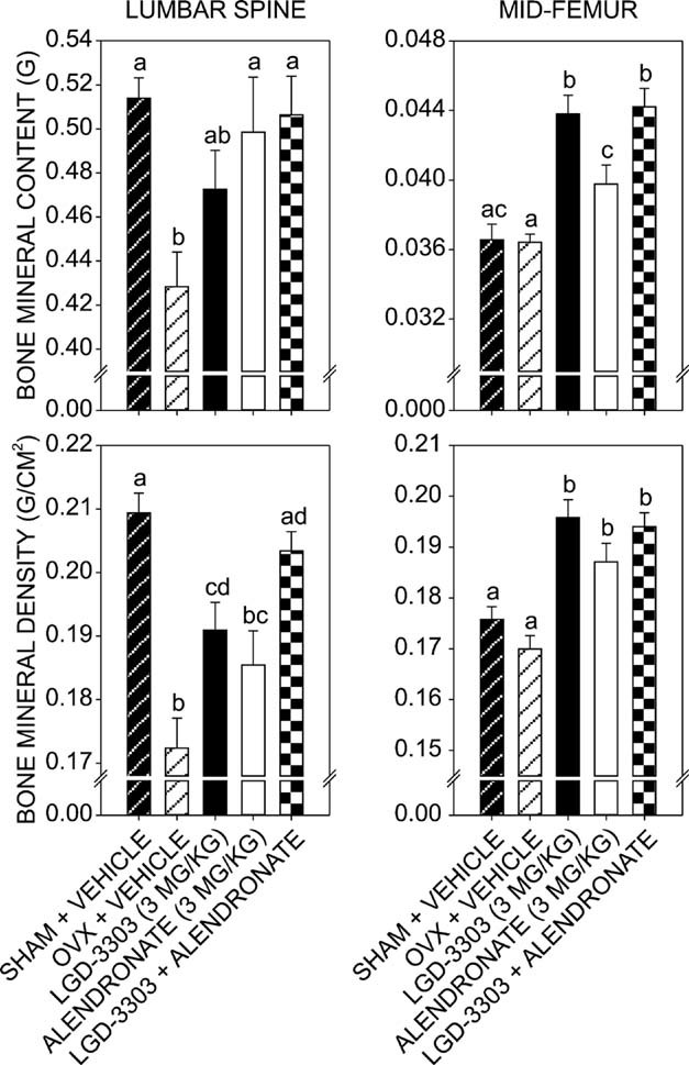 LGD‐3303 increases lumbar spine and femoral BMD and BMC in OVX female rats. J Bone Miner Res. 2009 Feb;24(2):231-40.