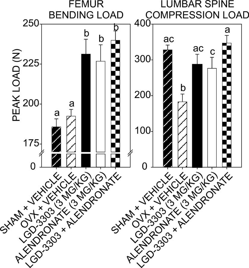 Three‐point bending test of the femur and compression test of the lumbar vertebral body. J Bone Miner Res. 2009 Feb;24(2):231-40.