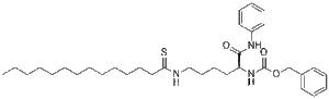 Thiomyristoyl