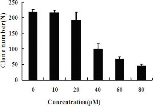 Effect of EN on MCF-7 cells colony formation. Iran J Pharm Res. 2014 Fall;13(4):1327-34.