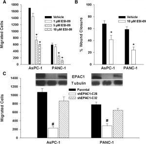 EPAC1 inhibition decreases pancreatic cancer cell migration and invasion. Mol Pharmacol. 2013 Jan;83(1):122-8.