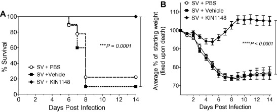 Prime-boost immunization with vaccine plus KIN1148 protects against lethal H1N1 challenge. Vaccine. 2017 Apr 4;35(15):1964-1971.