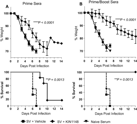 Passive transfer of serum from mice immunized with vaccine plus KIN1148 protects mice against lethal H1N1 challenge. Vaccine. 2017 Apr 4;35(15):1964-1971.