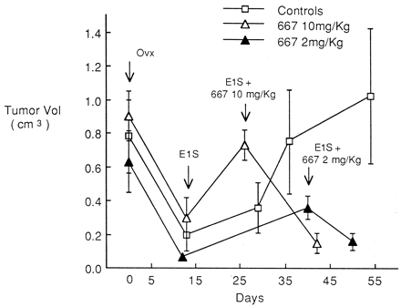 Effect of E1S or E1S plus 667 COUMATE on the growth of NMU-induced mammary tumors in ovariectomized rats. Cancer Res. 2000 Jul 1;60(13):3394-6.