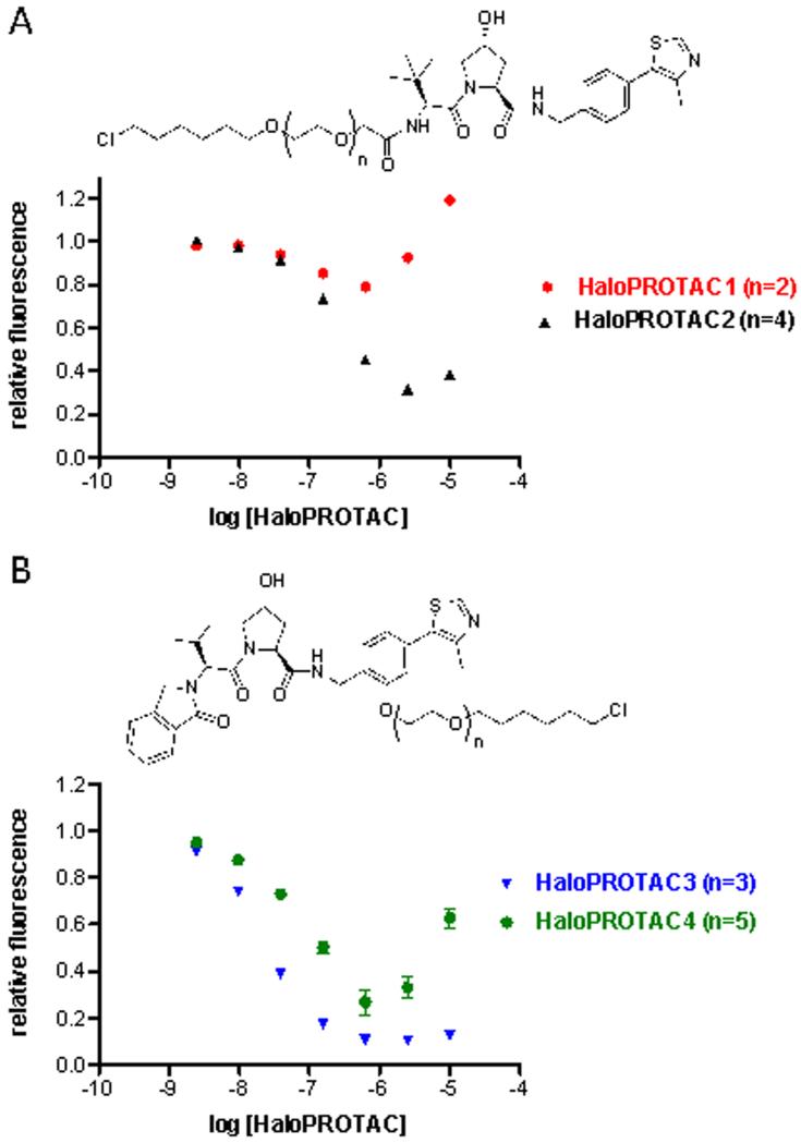 The average fluorescence per cell compared to vehicle control was measured by flow cytometry after 24 hour treatment with the indicated compounds and concentrations. ACS Chem Biol. 2015 Aug 21;10(8):1831-7.