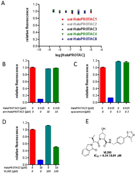 A) The enantiomers of HaloPROTACs (containing D-amino acid residues) which do not bind VHL do not induce degradation of GFP-HaloTag7, supporting the necessity of VHL binding for activity. B) Pre-treatment with excess ent-HaloPROTAC3 (1 hour) prevents degradation of GFP-HaloTag7 by HaloPROTAC3 after 24 hours. C) Pre-treatment with epoxomicin (4 hours) prevents degradation of GFP-HaloTag7 by HaloPROTAC3 after 20 hours. D)Treatment with VL285 attenuates the ability of HaloPROTAC3 to induce the degradation of GFP-HaloTag7. E) Structure of VL285. All error bars depict SEM. ACS Chem Biol. 2015 Aug 21;10(8):1831-7.