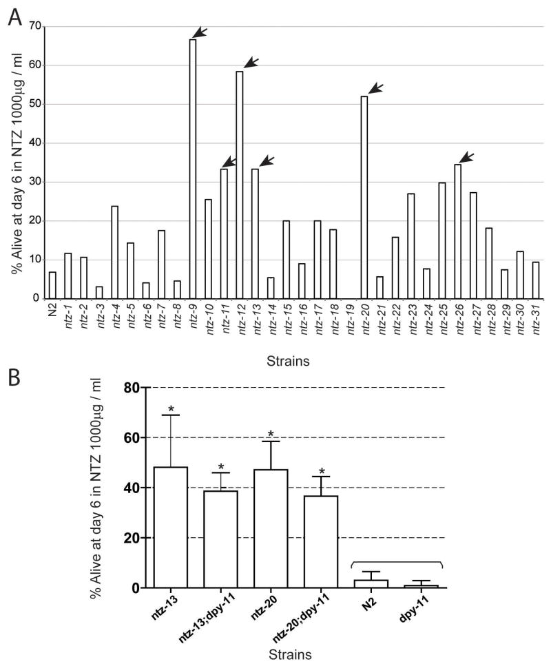 Forward genetic screen for identification of NTZ resistant worm mutants. Mol Biochem Parasitol. 2014 Jan;193(1):1-8.