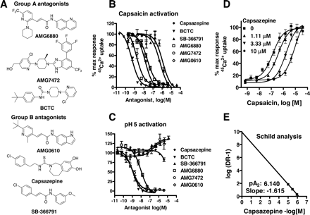 Structures and activities of antagonists. Mol Pharmacol. 2005 Dec;68(6):1524-33.