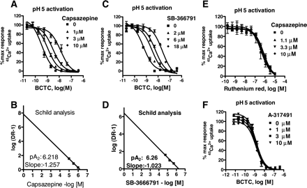 concentration-response curve of BCTC antagonism of rat TRPV1 activation by protons in the absence or presence of different concentrations of either capsazepine or SB-366791. Mol Pharmacol. 2005 Dec;68(6):1524-33.