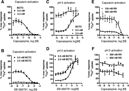 Concentration-dependent inhibition of capsaicin activation by mixtures of capsazepine and BCTC (A) or SB-366791 and BCTC (B) or capsazepine and ruthenium red (RR) (E). Mol Pharmacol. 2005 Dec;68(6):1524-33.