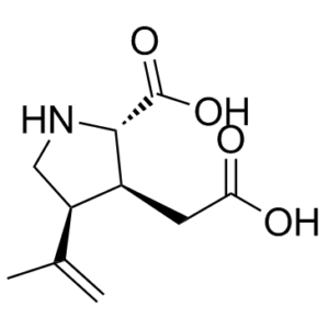 Kainic acid