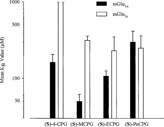 Graphical representation showing KB values derived for the aliphatic series of α-substituted phenylglycine analogues when used with mGlu1α receptor- and mGlu5a receptor-expressing cells. Br J Pharmacol. 1999 Jan;126(1):205-10.